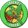 Truenos de Talca U23 logo - Chile Liga Desarrollo U Cd Huachipato U Vs Truenos De Talca U Results