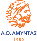 Neoi AO Amyntas logo - Greece A Ae Pentelis Vs Neoi Ao Amyntas Basketball Score