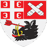 Radnicki Kragujevac logo