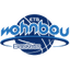 TH Wohnbau Angels (W) logo