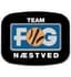 Team FOG Naestved logo