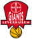 Bayer Giants Leverkusen logo