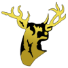 SSC-R Stags logo - Philippines Ucal Sscr Stags Vs Manila Central University Schedule