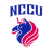 Chengchi University logo