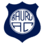 Bauru U22 logo - Brazil Ldb U Bauru U Vs Botafogo U Live