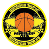 Minyor 2015 logo