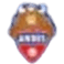Andes BC logo
