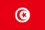 Tunisia Women logo