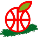 Hapoel Gilboa (W) logo - Club Friendship Hapoel Gilboa W Vs Bnei Yehuda W Basketball Live Score