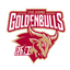 Zhejiang Golden Bulls logo