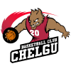 ChelSU Kostanay logo - Khl Chelsu Kostanay Vs Karaganda Live Result
