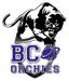 SASP BC Orchies logo