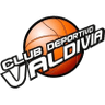 Deportivo Valdivia logo