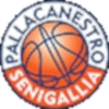 Goldengas Pallacanestro Senigallia logo - Italy Serie C Goldengas Pallacanestro Senigallia Vs Lions Basket Bisceglie Basketball Live