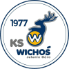 Jelenia Gora Women logo - Poland Womens Liga Wisla Krakow Ii Woemn Vs Jelenia Gora Women Results
