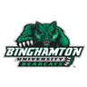 Binghamton logo