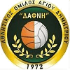 Dafni Agiou Dimitriou Women logo - Wa Dafni Agiou Dimitriou Women Vs Giannina Women Result