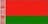 Belarus Women logo
