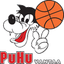 PuHu Juniorit logo
