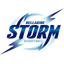Bellarine Storm logo