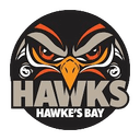 Bay Hawks logo - New Zealand Nbl Wellington Saints Vs Bay Hawks Live Score Today