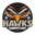 TigerScores365 live score, sport predictions, fixtures and odds - New Zealand Nbl Wellington Saints Vs Bay Hawks Live Score Today