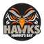 Bay Hawks logo