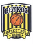 Izmit Zirve Women logo - Turkey Kbbl Women Live Result