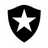 Botafogo FR U19 logo
