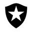Botafogo FR U19 logo