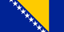 Bosnia and Herzegovina logo
