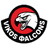 Vikos Falcons B.C. logo