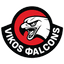 Vikos Falcons B.C. logo