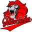 Politechnika Gdansk Women logo