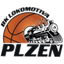 Plzen B logo