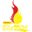 Nam Blazers logo