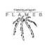 UMU Flames logo