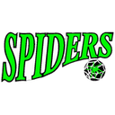 Hornsby Spiders Women logo - Wnbl East Albury Wodonga Women Vs Hornsby Spiders Women Live Score