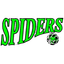 Hornsby Spiders Women logo