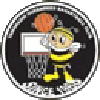 Yamanashi Queen Bees Women logo - Japan Wjbl Yamanashi Queen Bees Women Vs Aranmare Akita Women Live