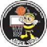 Yamanashi Queen Bees Women logo