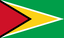Guyana Women logo
