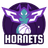 Charlotte Hornets logo