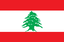 Lebanon Women logo