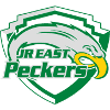 JR East Akita Peckers logo - Japan Emperor Cup Jr East Akita Peckers Vs Hakuhou University Schedule