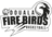 Douala Firebirds logo