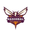 Stikes Nasional Basketball logo