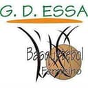 Gdessa Barreiro Women logo - Wfpb Gdessa Barreiro Women Vs Clube Dos Galitos Women Basketball Live Score