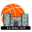 Burji Telavi logo