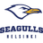 Helsinky Seagulls logo